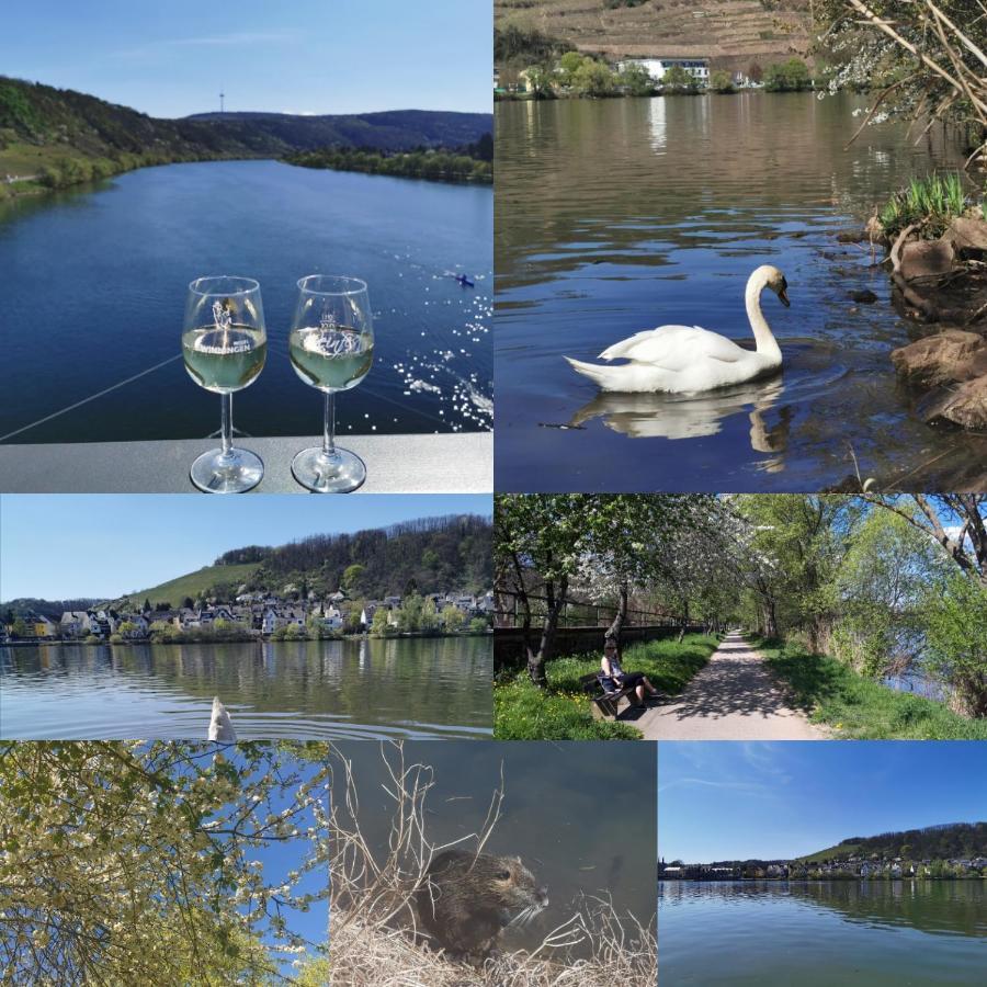 Apartamento Auszeit Rhein-Mosel Waldesch Exterior foto